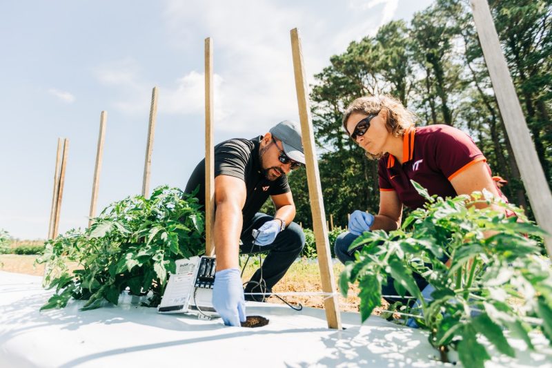 researcher testing soil