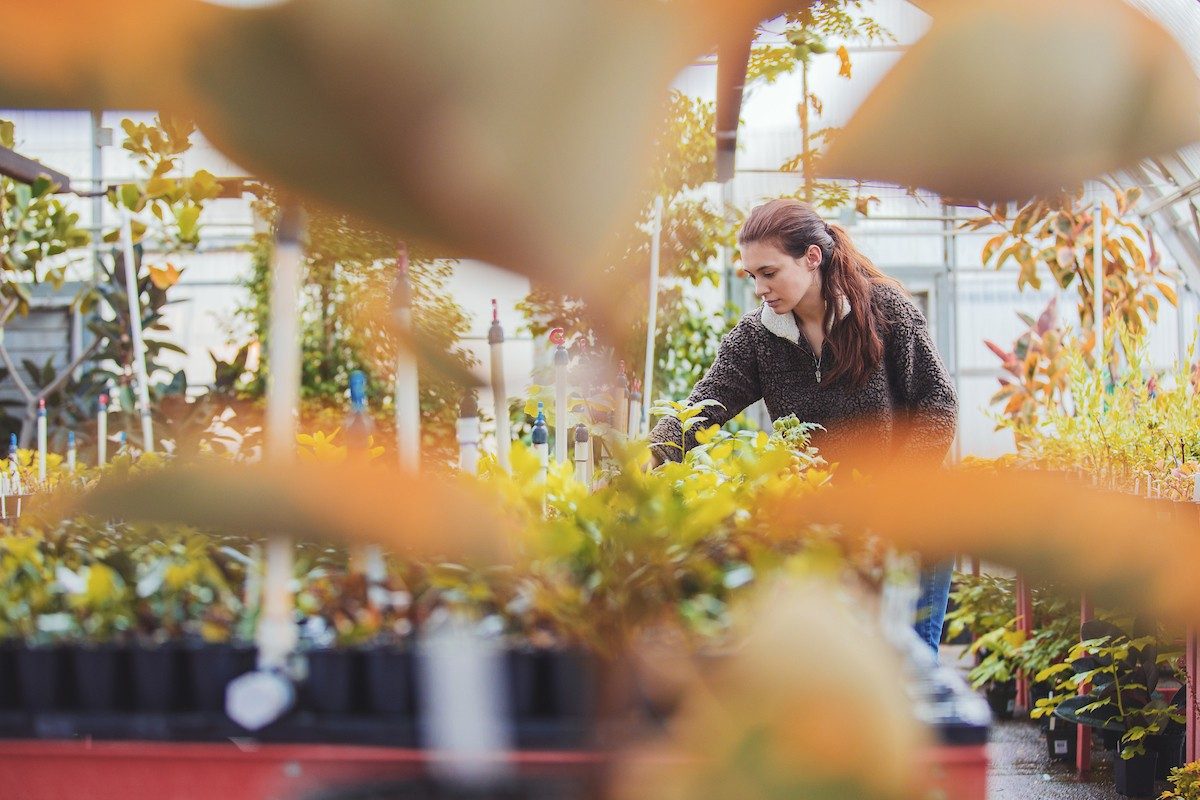 School of Plant and Environmental Sciences